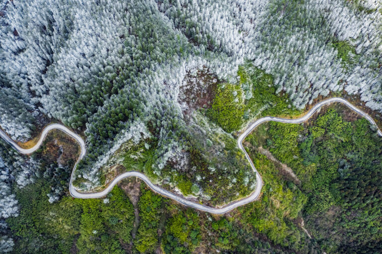 Xiang Bangjin - 《雪蟾-Snow-toad》摄影：向邦金（湖南湘西）-获2021年新加坡金虎国际摄影沙龙巡回赛-知识碗赛区彩色数码公开组-优秀奖